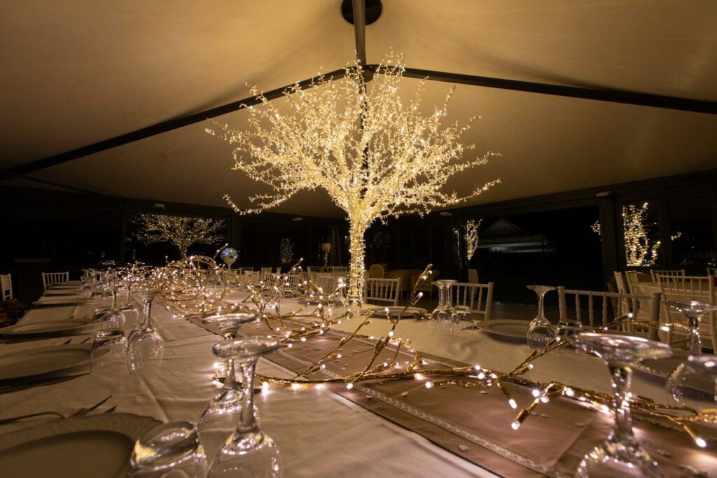 Albero Luminoso per Esterno